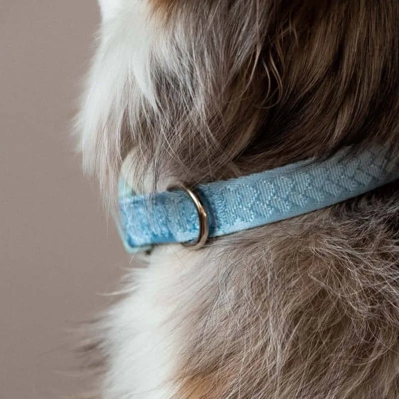 COLLIER POUR CHIEN EN TISSU - BLEU CLOUD ☁️