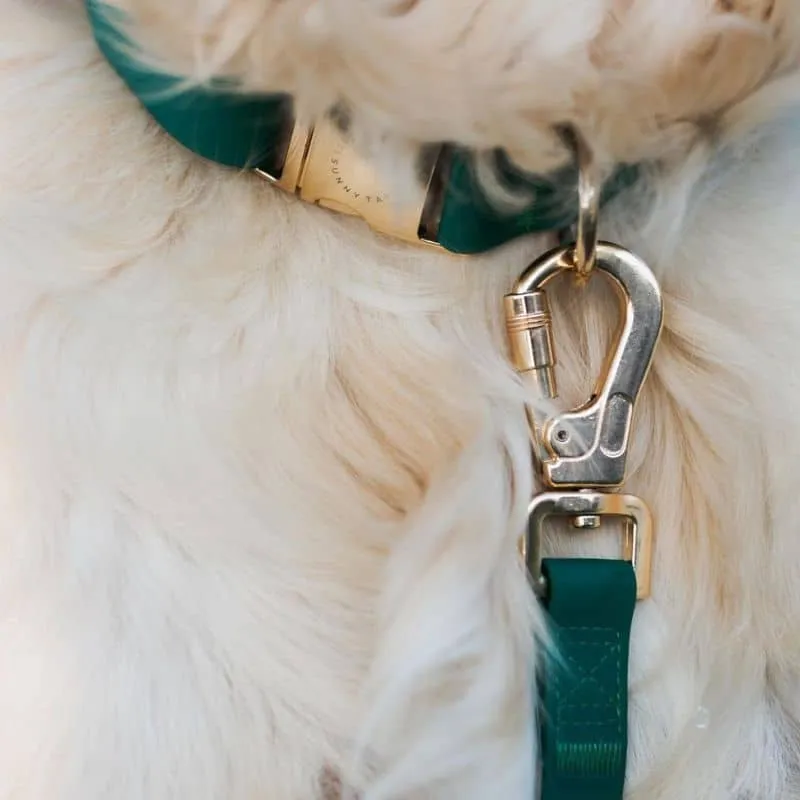 COLLIER POUR CHIEN WATERPROOF - VERT