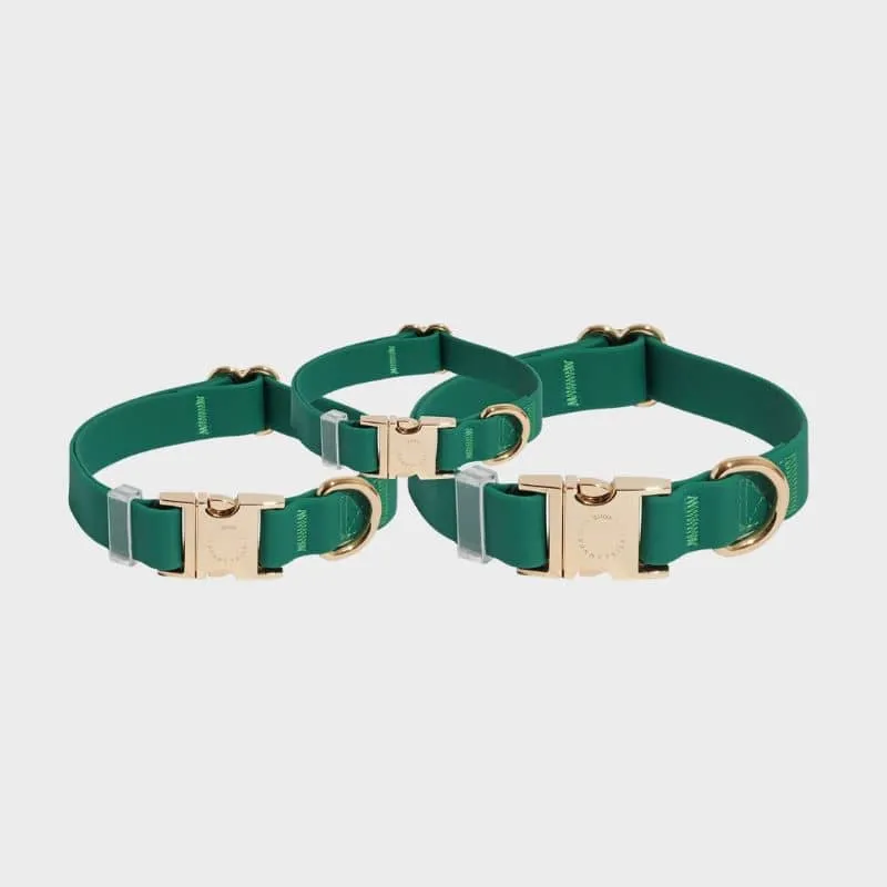COLLIER POUR CHIEN WATERPROOF - VERT