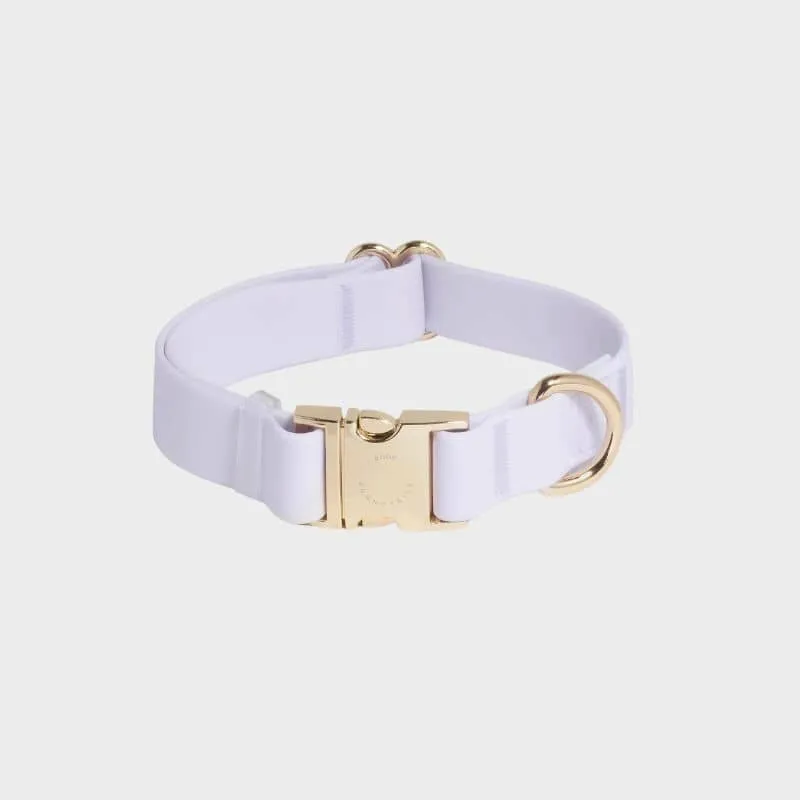 COLLIER POUR CHIEN WATERPROOF - LAVANDE