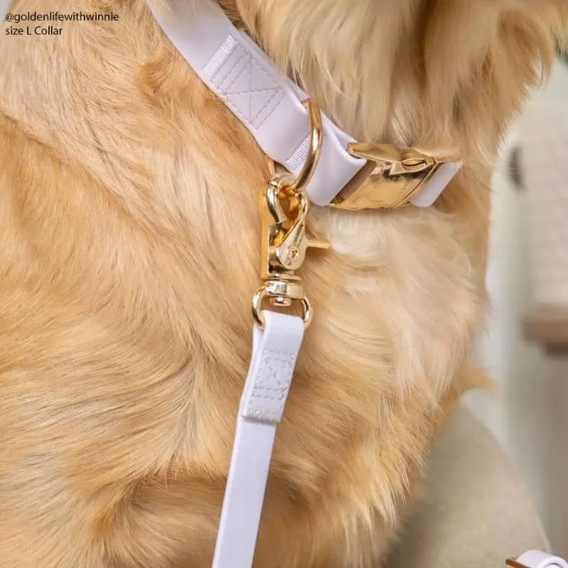 COLLIER POUR CHIEN WATERPROOF - LAVANDE