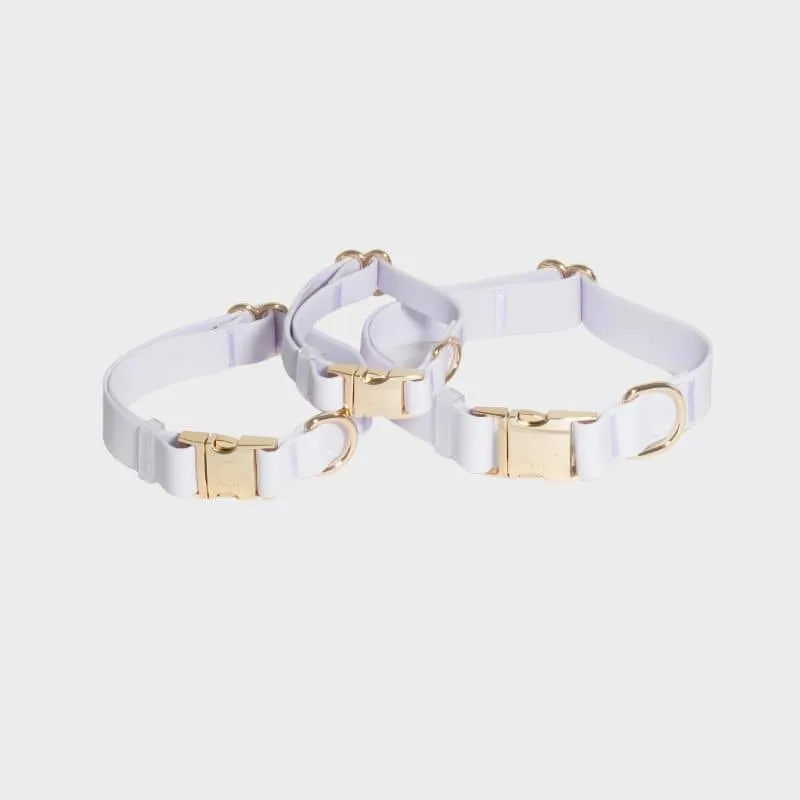 COLLIER POUR CHIEN WATERPROOF - LAVANDE