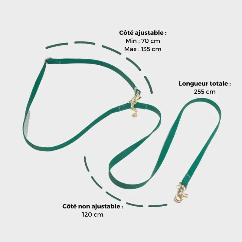 LAISSE POUR CHIEN MULTIPOSITIONS 4 EN 1 CONVERTIBLE WATERPROOF - VERT