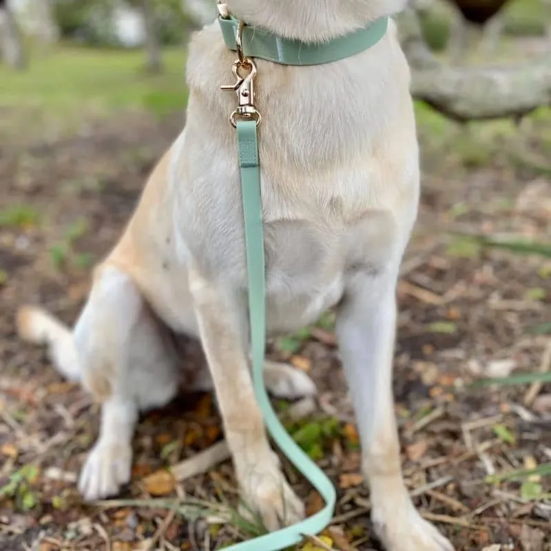 LAISSE POUR CHIEN MULTIPOSITIONS 4 EN 1 CONVERTIBLE WATERPROOF - PISTACHE