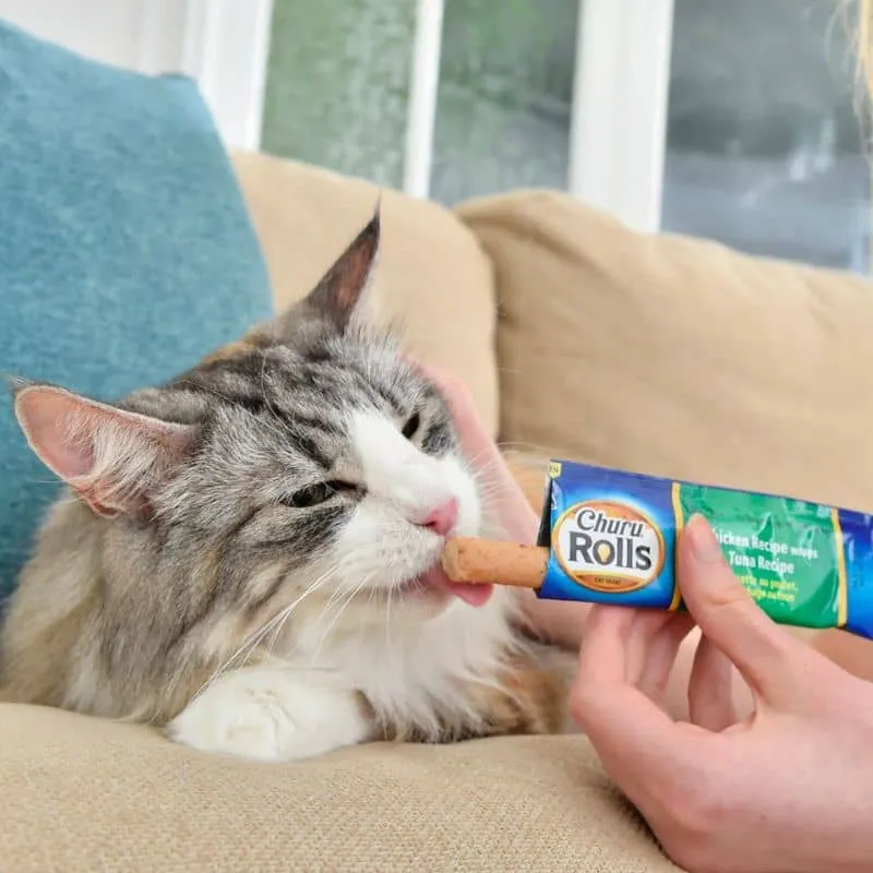 FRIANDISE POUR CHAT - BÂTONNET POULET THON