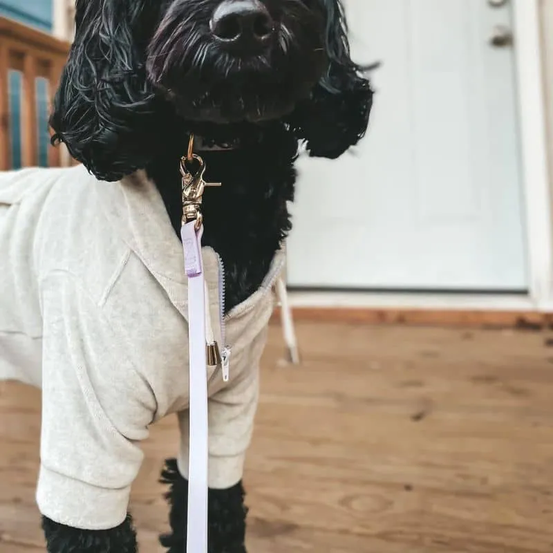 LAISSE POUR CHIEN WATERPROOF - LAVANDE