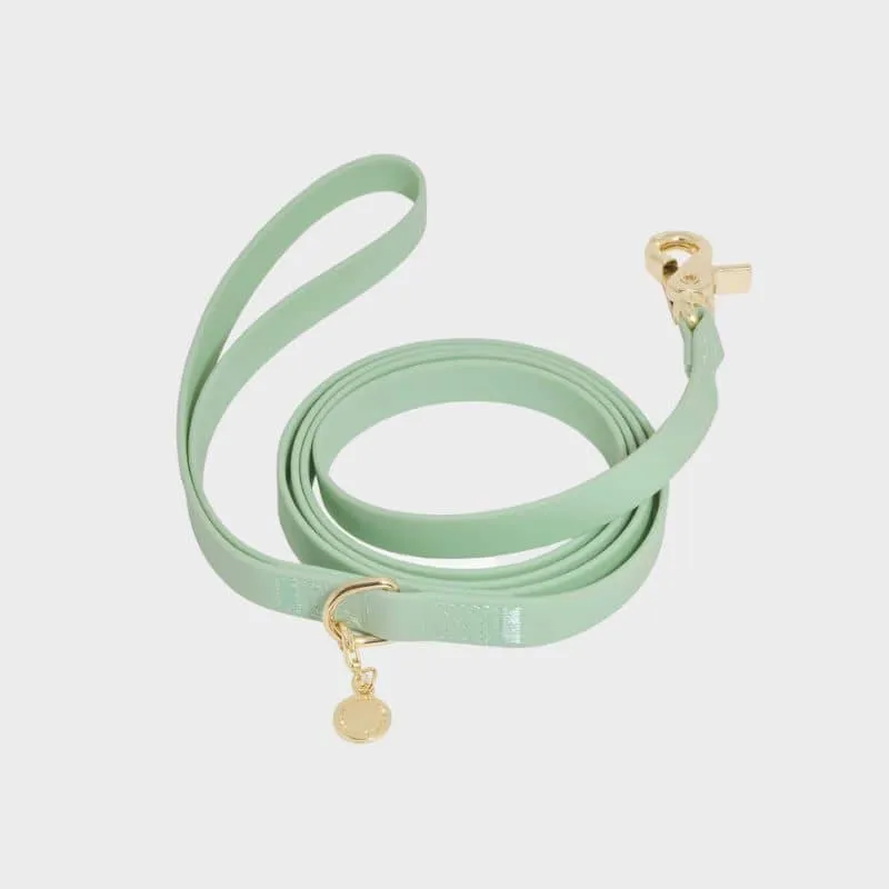 LAISSE POUR CHIEN WATERPROOF - PISTACHE