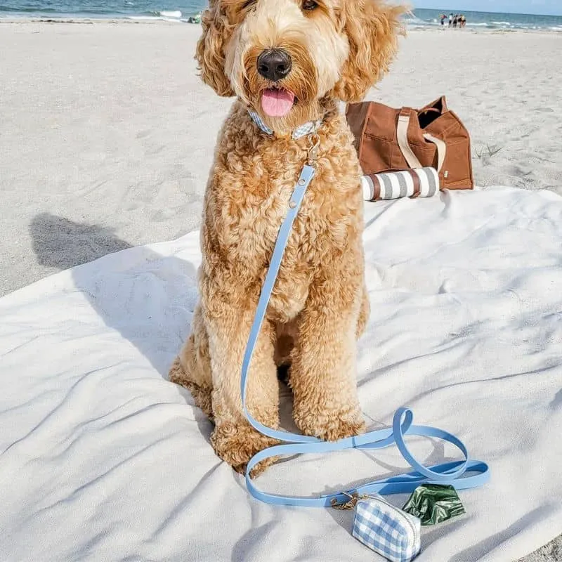 LAISSE POUR CHIEN WATERPROOF - BLEU CIEL