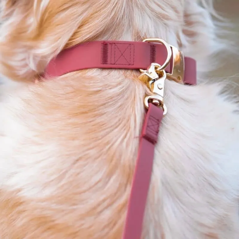 LAISSE POUR CHIEN MULTIPOSITIONS 4 EN 1 CONVERTIBLE WATERPROOF - FRAMBOISE