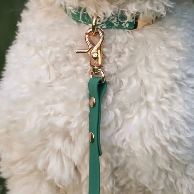 LAISSE POUR CHIEN WATERPROOF - VERT