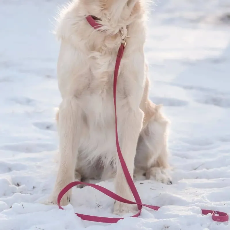 LAISSE POUR CHIEN WATERPROOF - FRAMBOISE