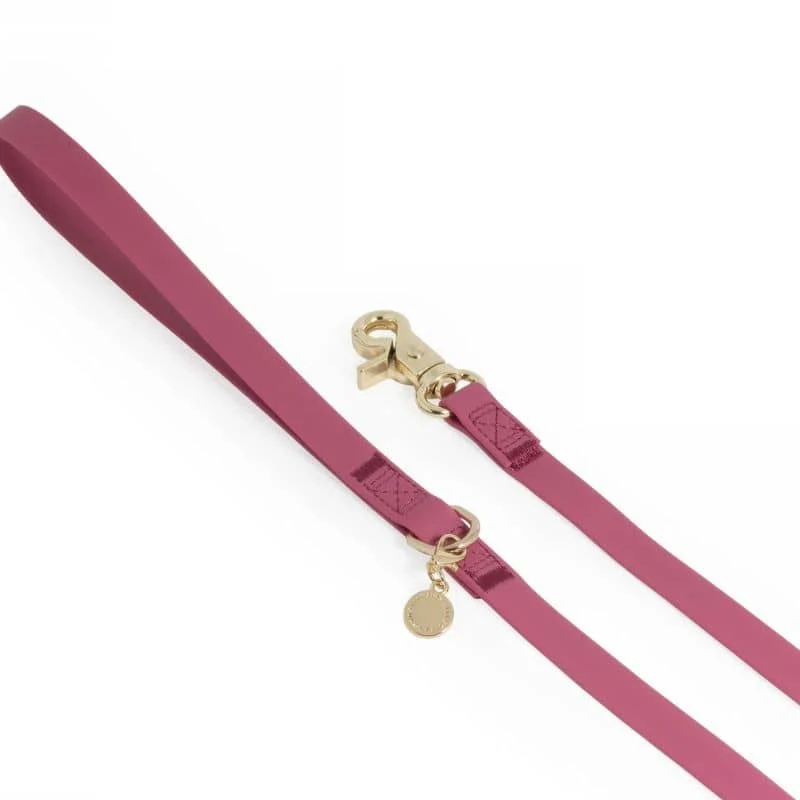 LAISSE POUR CHIEN WATERPROOF - FRAMBOISE
