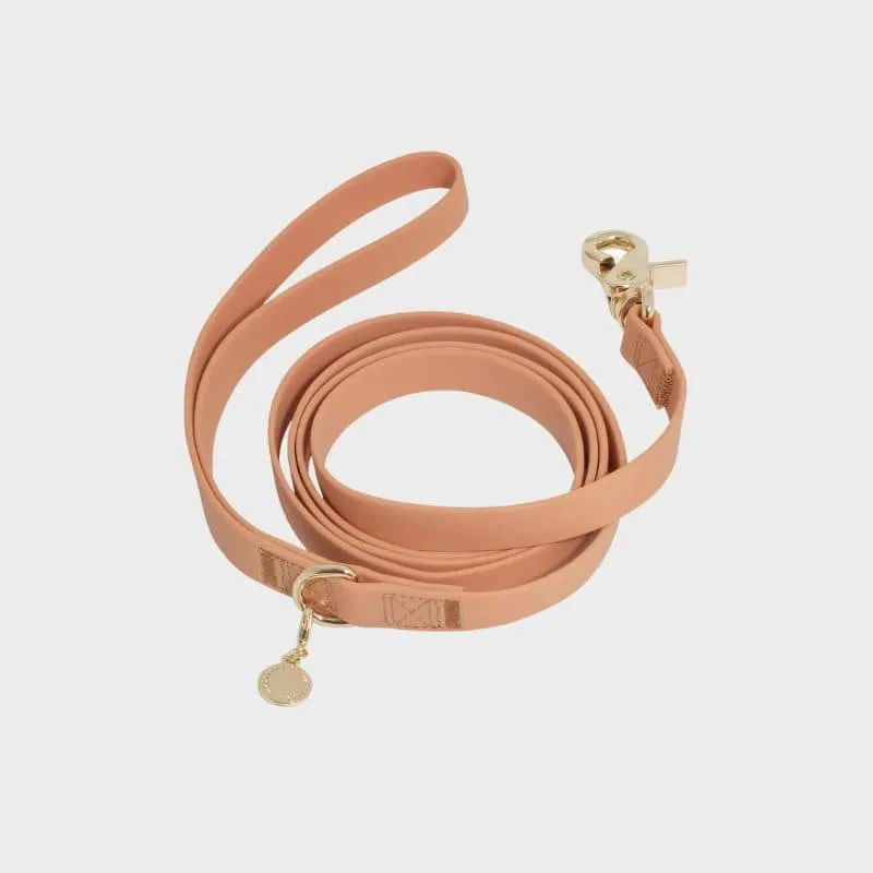 LAISSE POUR CHIEN WATERPROOF - MARRON CHAI