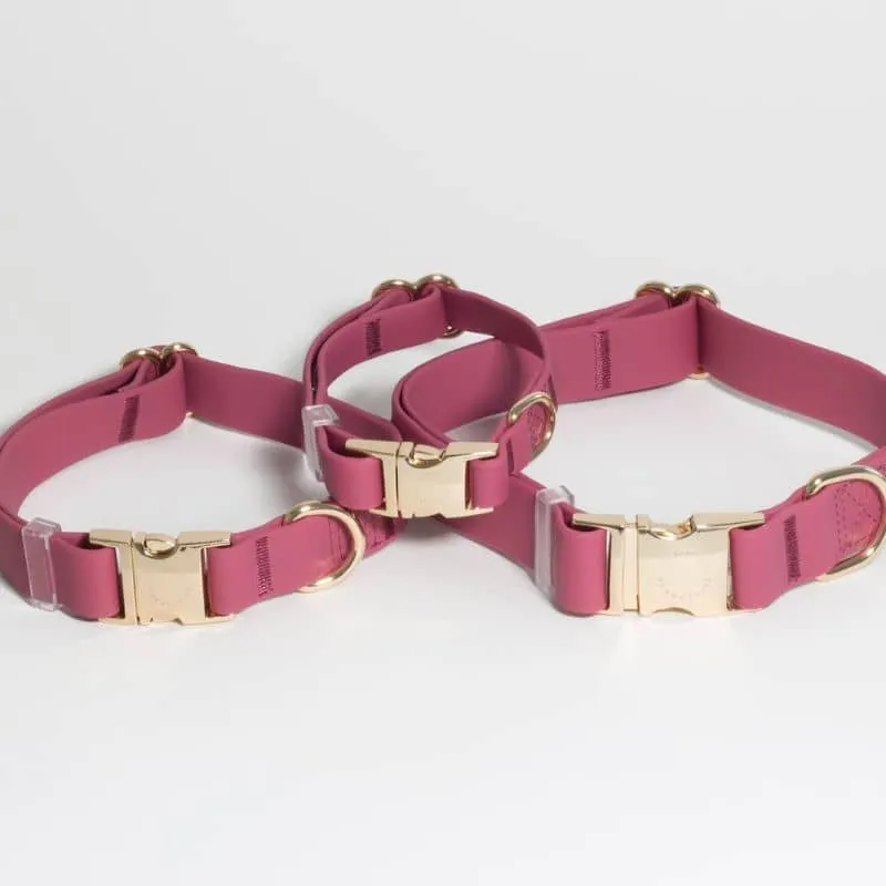 COLLIER POUR CHIEN WATERPROOF - FRAMBOISE