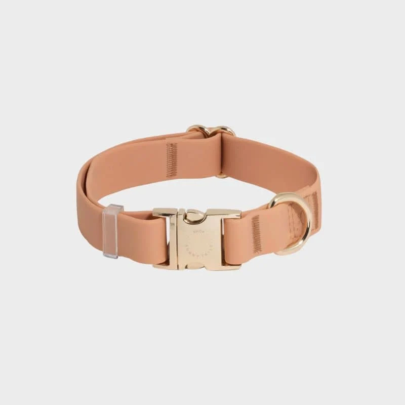 COLLIER POUR CHIEN WATERPROOF - MARRON CHAI