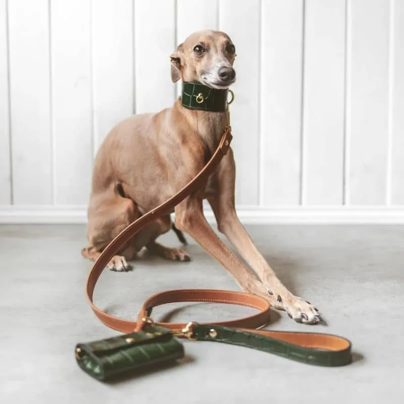 COLLIER EN CUIR POUR LÉVRIER - CROCODILE VERT FONCÉ
