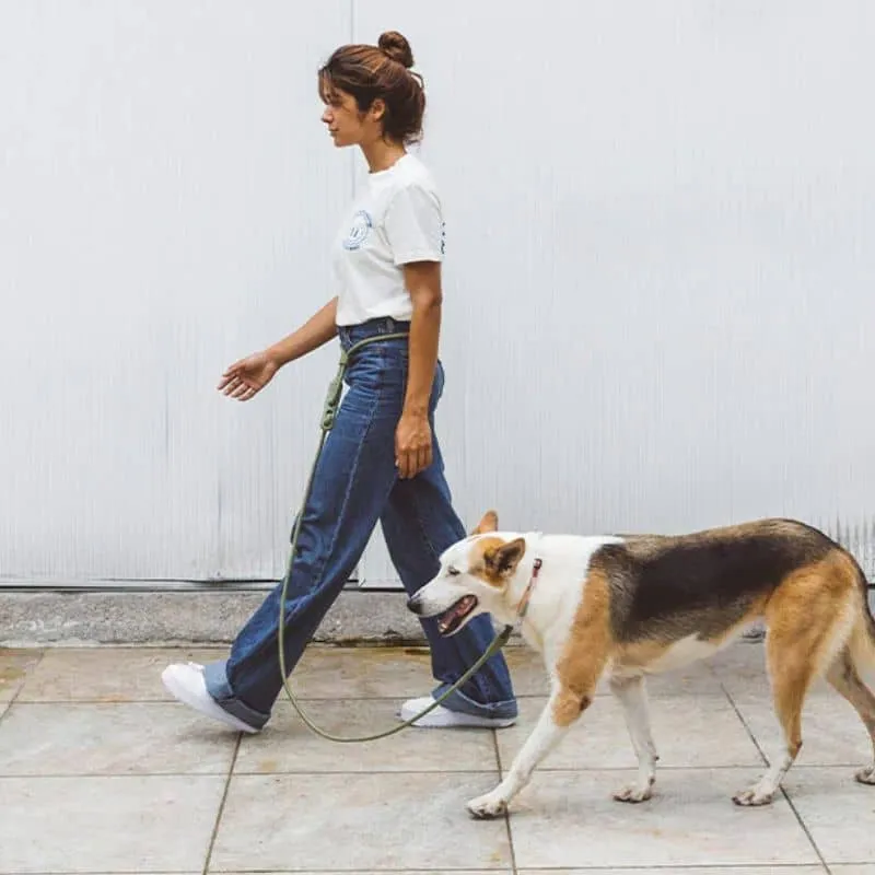 LAISSE MAINS-LIBRES POUR CHIEN - VERT KAKI