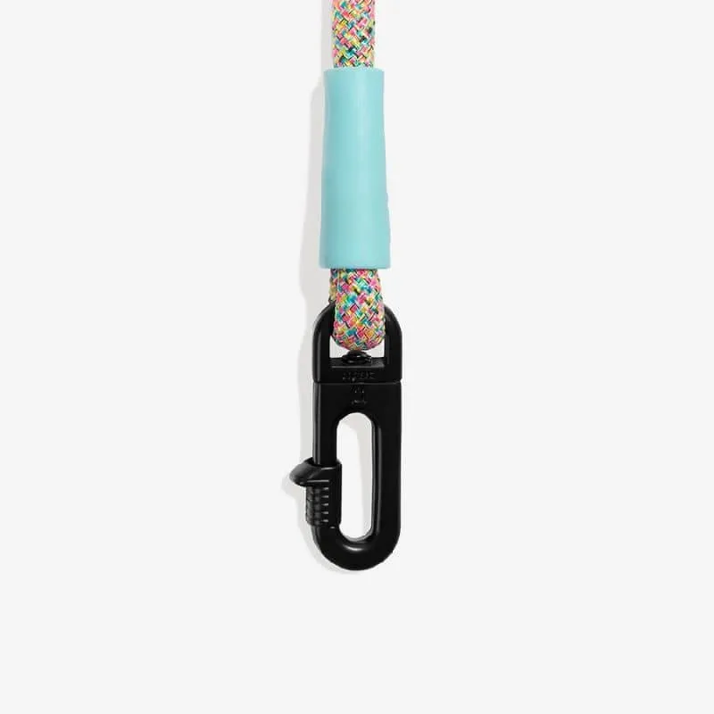 LAISSE MAINS-LIBRES POUR CHIEN - MULTICOLORE
