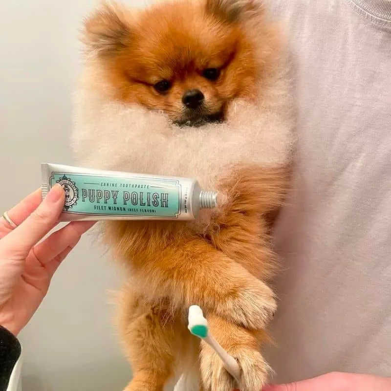 DENTIFRICE NATUREL POUR CHIEN
