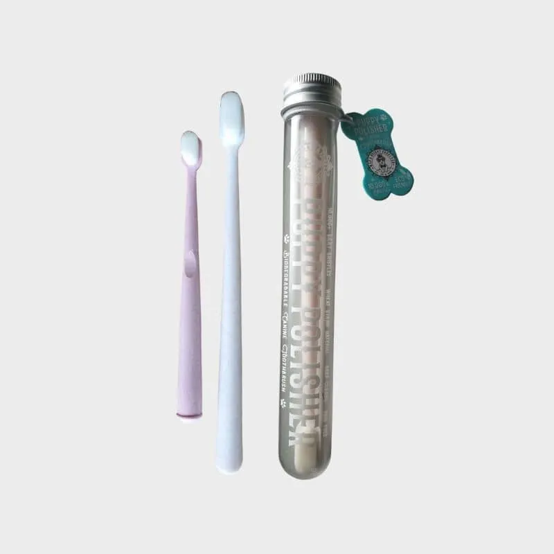 BROSSE À DENT BIODÉGRADABLE POUR CHIEN (2 TAILLES DISPO)