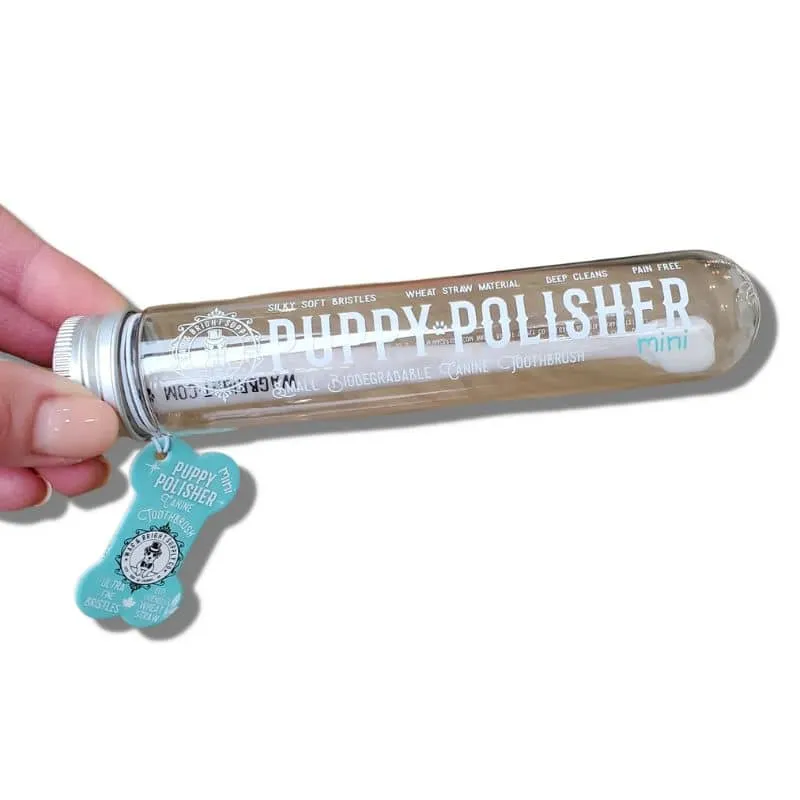 BROSSE À DENT BIODÉGRADABLE POUR CHIEN (2 TAILLES DISPO)