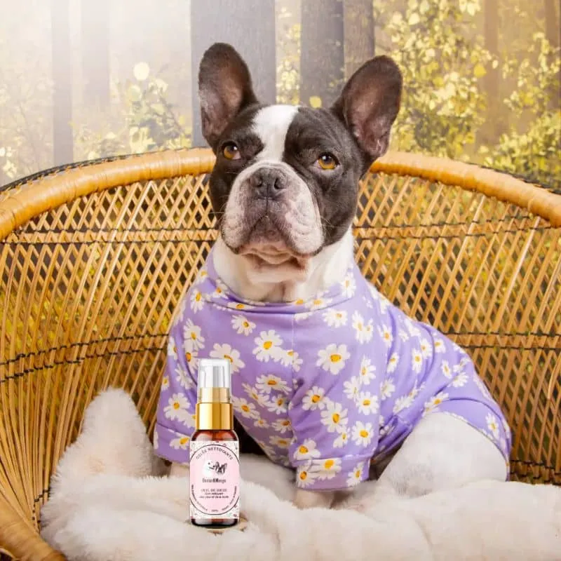 GELÉE NETTOYANTE POUR LES YEUX OEIL DE BICHE - POUR CHIEN