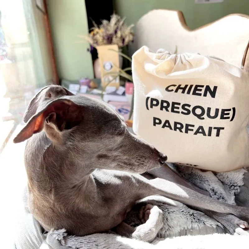 POCHETTE THE WOUF "CHIEN (PRESQUE) PARFAIT"