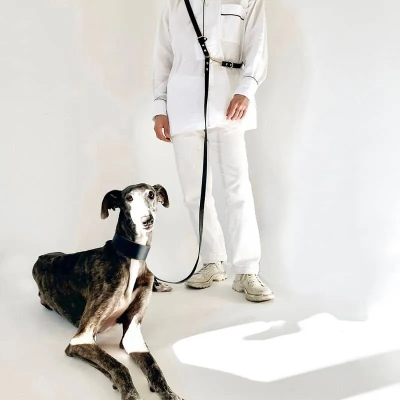 LAISSE MULTIPOSITIONS EN CUIR POUR CHIEN (4 POSITIONS) - NOIR