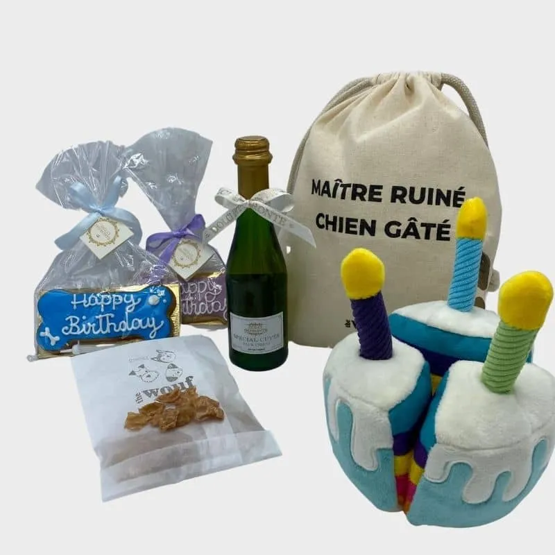 KIT D'ANNIVERSAIRE POUR CHIEN 🎂