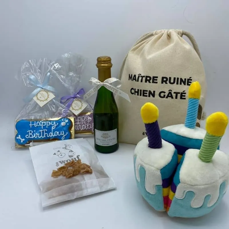 KIT D'ANNIVERSAIRE POUR CHIEN 🎂