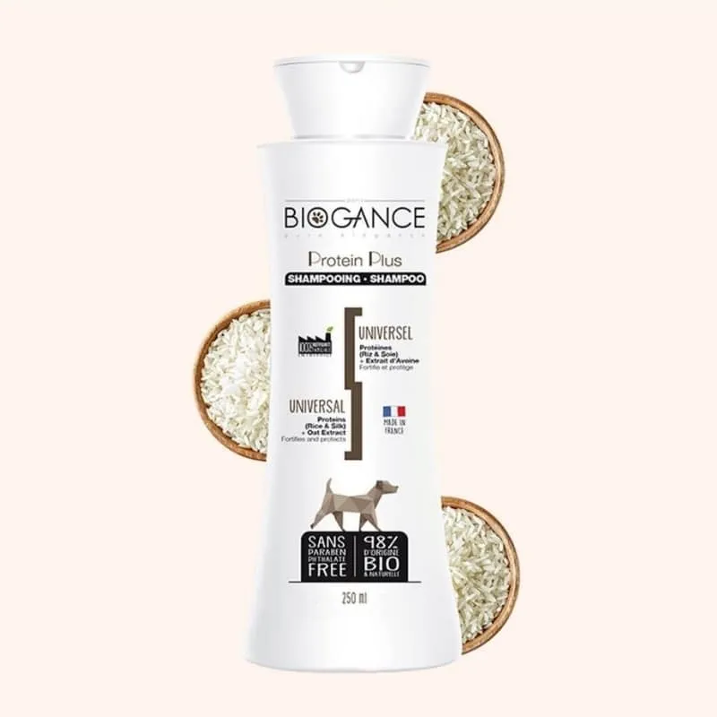 SHAMPOING UNIVERSEL PROTEIN PLUS - POUR CHIEN