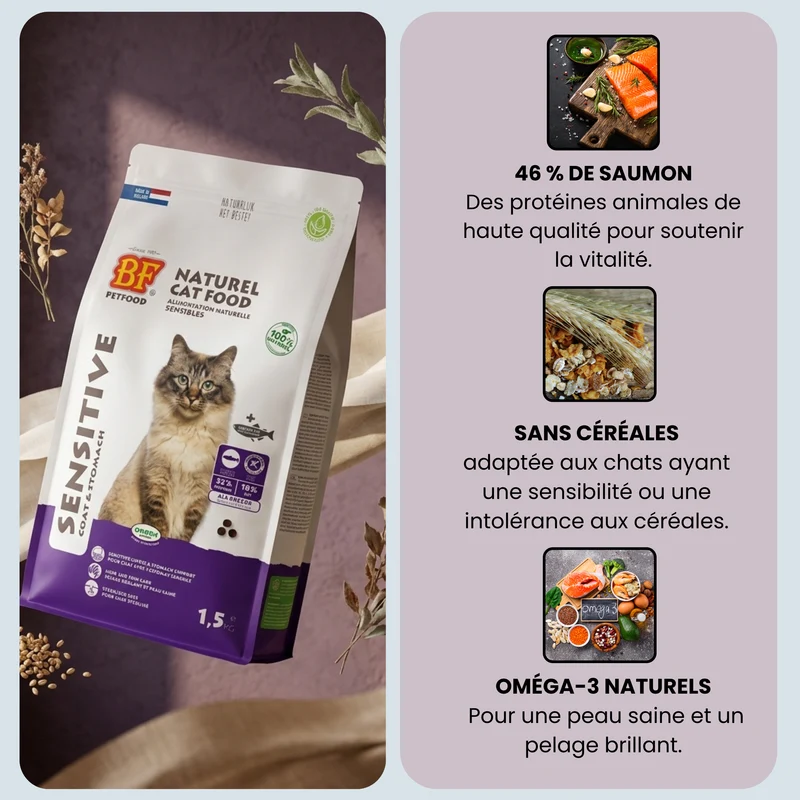 Croquettes hypoallergénique au saumon sans céréales pour chat