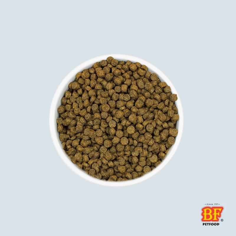 Croquettes hypoallergénique au saumon sans céréales pour chat