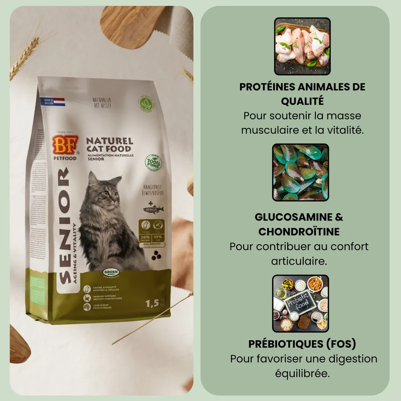 Croquettes pour chat senior