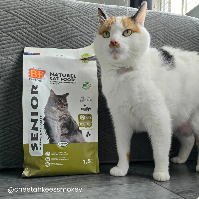 Croquettes pour chat senior