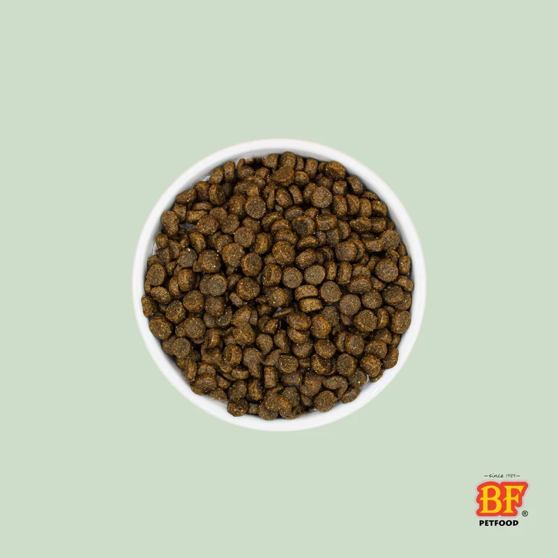 Croquettes pour chat senior