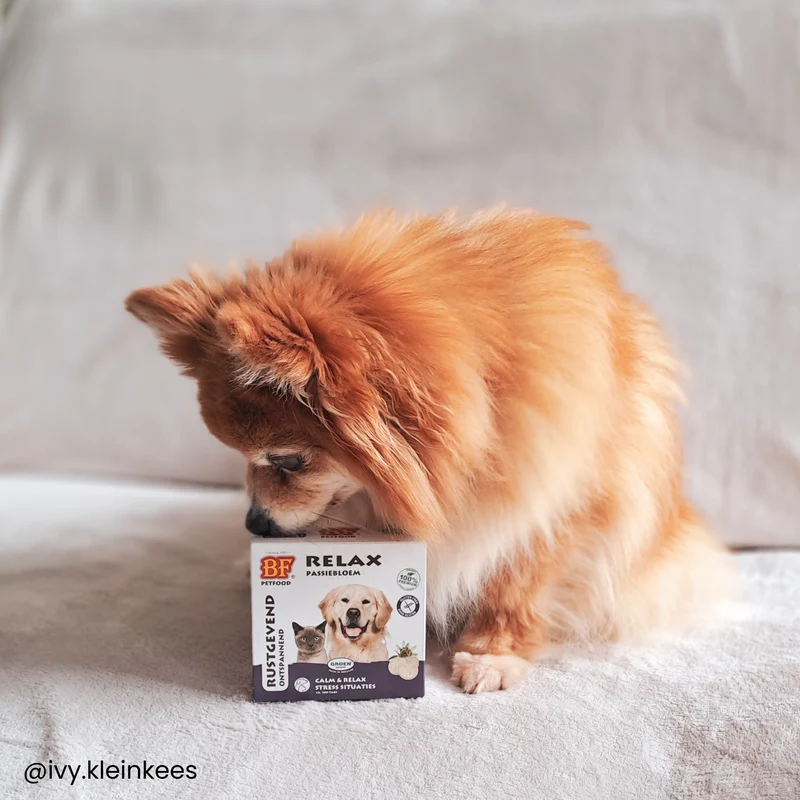 Relax comprimés calmant pour chien et chat