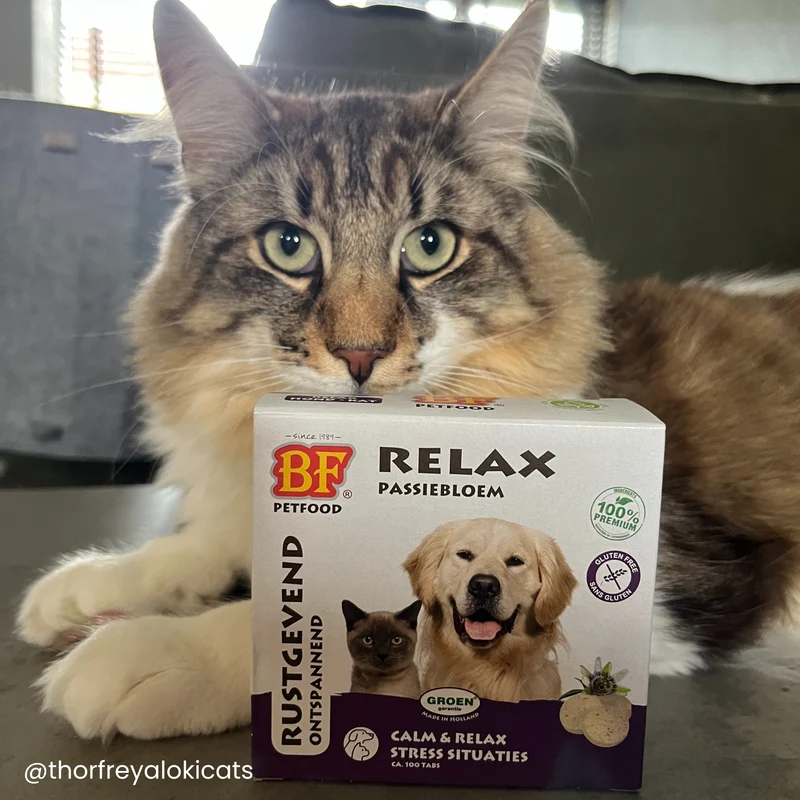 Relax comprimés calmant pour chien et chat