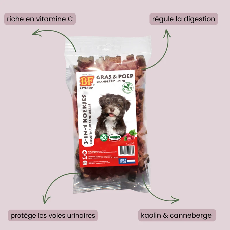 Biscuits cranberry pour chien