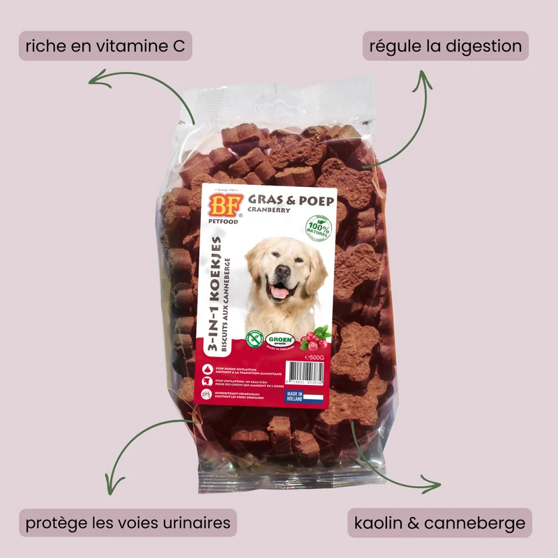 Biscuits cranberry pour chien