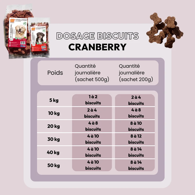 Biscuits cranberry pour chien