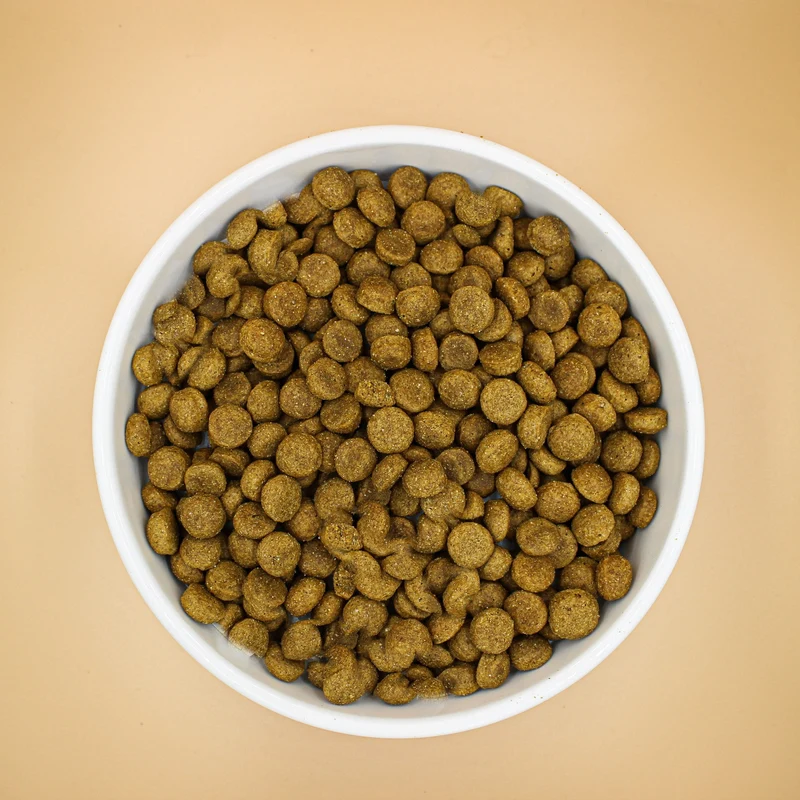 Croquettes BIO au poulet pour chien