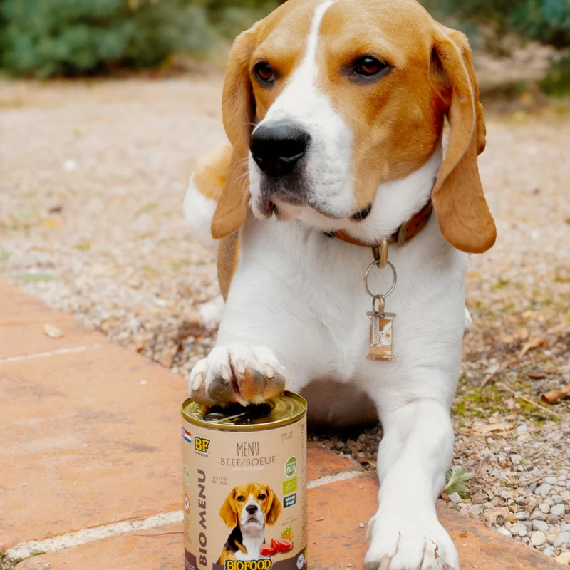 Pâtée BIO au bœuf pour chien