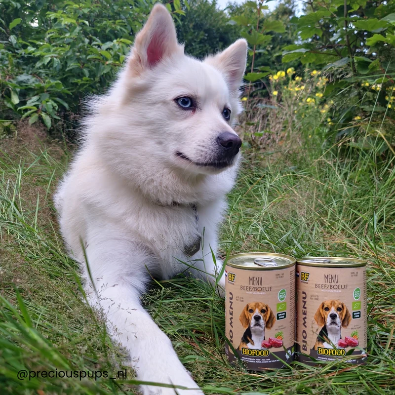 Pâtée BIO au bœuf pour chien