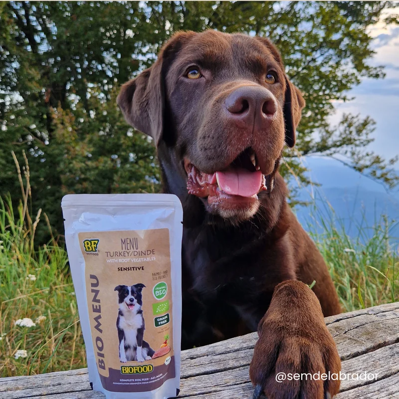 Pâtée BIO à la dinde pour chien