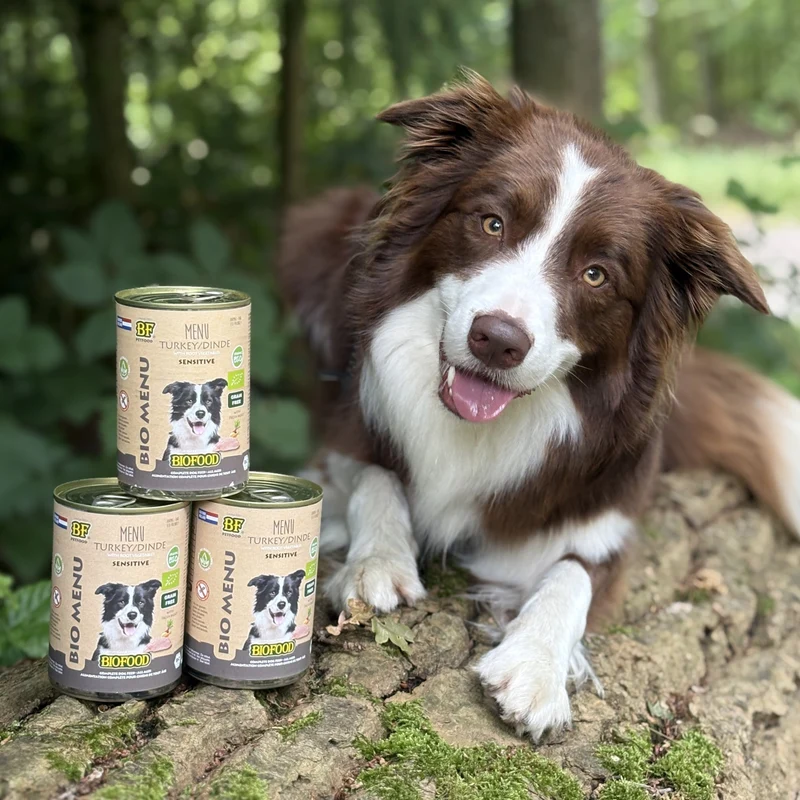 Pâtée BIO à la dinde pour chien
