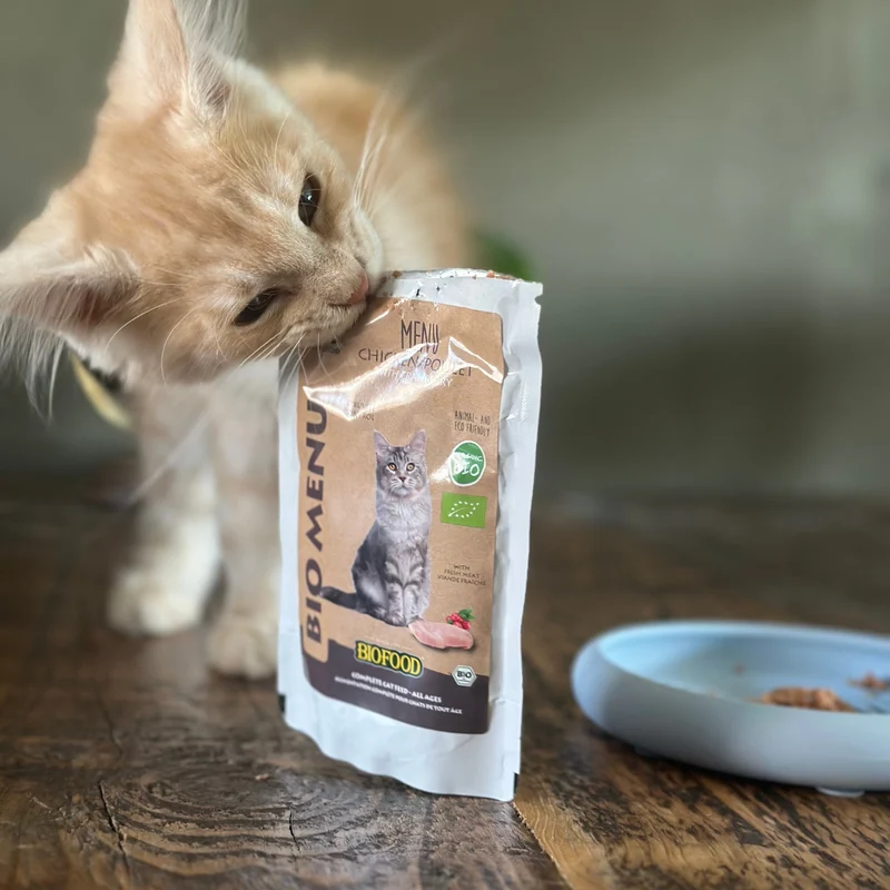 Pâtée BIO au poulet pour chat