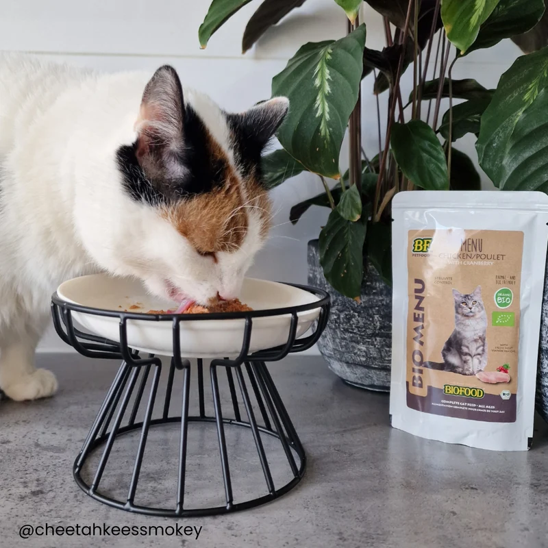 Pâtée BIO au poulet pour chat