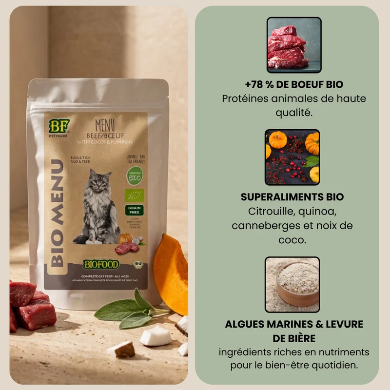 Pâtée BIO au bœuf pour chat
