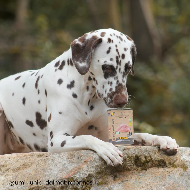 100% viande de poulet BIO pour chien et chat